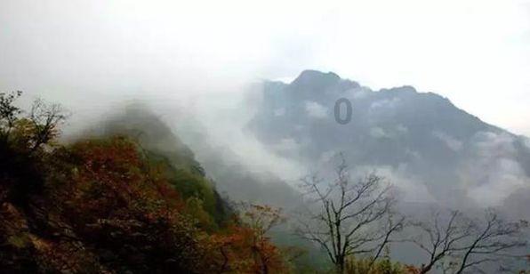 你好,考舞蹈教师资格证对学历有什么要求吗 需要考文化课成绩?-专业问答网站